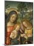 Detail of Upper Part of Our Lady of Peace-Bernardino Pinturicchio-Mounted Giclee Print