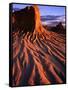 Detail of Walls of China, Mungo National Park, Australia-Paul Sinclair-Framed Stretched Canvas