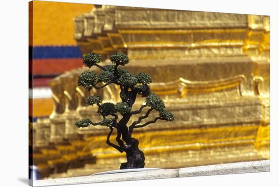Detail of Wat Phra Kaeo, Bangkok, Thailand-Dallas and John Heaton-Stretched Canvas