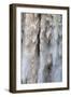 Detail of Water Falling from Kaieteur Falls, Guyana, South America-Mick Baines & Maren Reichelt-Framed Photographic Print