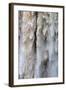 Detail of Water Falling from Kaieteur Falls, Guyana, South America-Mick Baines & Maren Reichelt-Framed Photographic Print