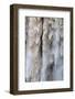 Detail of Water Falling from Kaieteur Falls, Guyana, South America-Mick Baines & Maren Reichelt-Framed Photographic Print