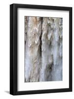 Detail of Water Falling from Kaieteur Falls, Guyana, South America-Mick Baines & Maren Reichelt-Framed Photographic Print