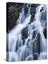 Detail of Waterfall on Sneffels Creek, Yankee Boy Basin, Uncompahgre National Forest, Colorado, USA-James Hager-Stretched Canvas