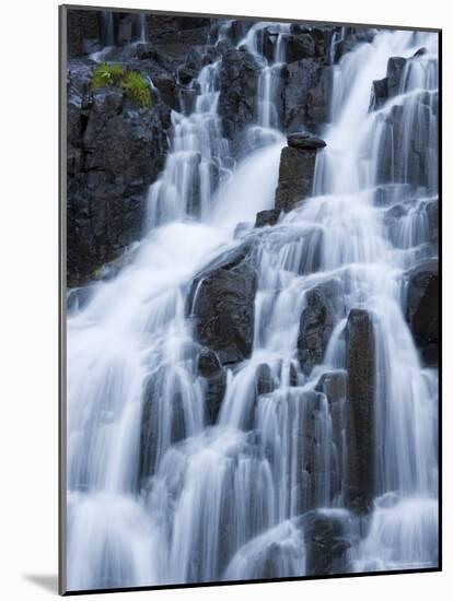 Detail of Waterfall on Sneffels Creek, Yankee Boy Basin, Uncompahgre National Forest, Colorado, USA-James Hager-Mounted Photographic Print