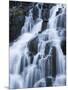 Detail of Waterfall on Sneffels Creek, Yankee Boy Basin, Uncompahgre National Forest, Colorado, USA-James Hager-Mounted Photographic Print