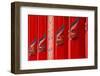 Detail of Wooden Carvings on the Rathaus (Town Hall)-Julian Elliott-Framed Photographic Print