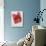 Detail view of a Valentine's Day present-null-Photographic Print displayed on a wall