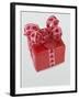 Detail view of a Valentine's Day present-null-Framed Photographic Print