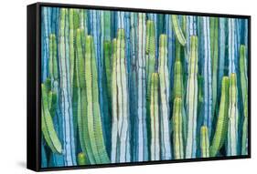 DETAIL VIEW OF THE CARDON CACTUS IN SUMMER WITH RICH BLUE GREEN AND TORQOUISE COLORS-ED Reardon-Framed Stretched Canvas