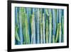 DETAIL VIEW OF THE CARDON CACTUS IN SUMMER WITH RICH BLUE GREEN AND TORQOUISE COLORS-ED Reardon-Framed Photographic Print