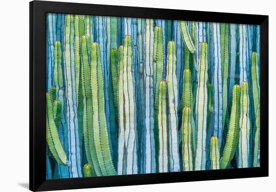 DETAIL VIEW OF THE CARDON CACTUS IN SUMMER WITH RICH BLUE GREEN AND TORQOUISE COLORS-ED Reardon-Framed Photographic Print