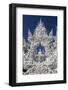 Detail, Wat Rong Khun (White Temple), Chiang Rai, Northern Thailand, Thailand-Stuart Black-Framed Photographic Print