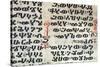 Detailed Characters of Ge'Ez Text (Ethiopic Language), Miniature from a Gospel Coptic, 14th Century-null-Stretched Canvas