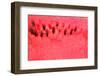 Detailed Closeup of Watermelon-ConstantinosZ-Framed Photographic Print