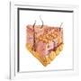 Detailed Cutaway Diagram of Human Skin-null-Framed Art Print