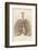 Detailed Diagram of the Lungs-null-Framed Photographic Print