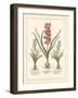 Detailed Floral I-Artique Studio-Framed Art Print