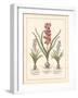 Detailed Floral I-Artique Studio-Framed Art Print