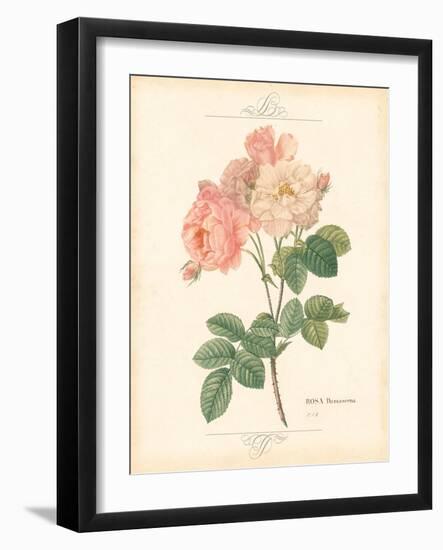 Detailed Floral II-Artique Studio-Framed Art Print