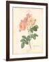 Detailed Floral II-Artique Studio-Framed Art Print