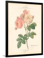 Detailed Floral II-Artique Studio-Framed Art Print