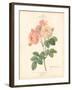 Detailed Floral II-Artique Studio-Framed Art Print