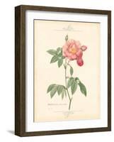 Detailed Floral III-Artique Studio-Framed Art Print