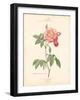 Detailed Floral III-Artique Studio-Framed Art Print