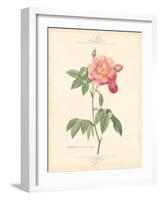 Detailed Floral III-Artique Studio-Framed Art Print