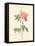 Detailed Floral III-Artique Studio-Framed Stretched Canvas