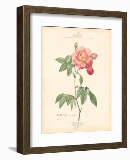 Detailed Floral III-Artique Studio-Framed Art Print