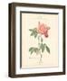 Detailed Floral III-Artique Studio-Framed Art Print