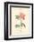 Detailed Floral III-Artique Studio-Framed Art Print