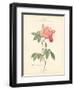 Detailed Floral III-Artique Studio-Framed Art Print