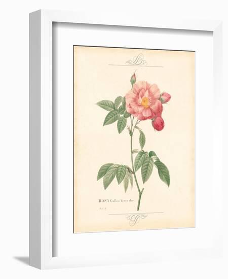 Detailed Floral III-Artique Studio-Framed Art Print