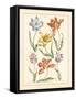 Detailed Floral IV-Artique Studio-Framed Stretched Canvas