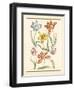 Detailed Floral IV-Artique Studio-Framed Art Print