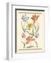 Detailed Floral IV-Artique Studio-Framed Art Print