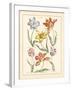 Detailed Floral IV-Artique Studio-Framed Art Print