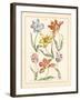 Detailed Floral IV-Artique Studio-Framed Art Print