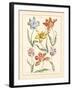 Detailed Floral IV-Artique Studio-Framed Art Print