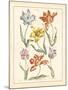 Detailed Floral IV-Artique Studio-Mounted Art Print