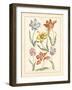 Detailed Floral IV-Artique Studio-Framed Art Print