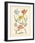 Detailed Floral IV-Artique Studio-Framed Art Print