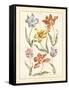 Detailed Floral IV-Artique Studio-Framed Stretched Canvas