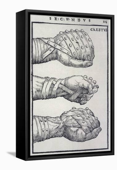 Detailed Views of a Roman Cestus a Leather Glove Used in Ancient Boxing-A. Forbes-Framed Stretched Canvas