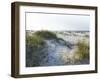 Detailed Wide Angle Shot of Pristine White Sand Dunes and Native Shoreline Plants in Pensacola Flor-forestpath-Framed Photographic Print