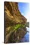 Details and Reflection of the Cliffside, San Diego, Ca-Andrew Shoemaker-Stretched Canvas