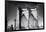 Details Brooklyn Bridge - Manhattan - New York - United States-Philippe Hugonnard-Framed Photographic Print